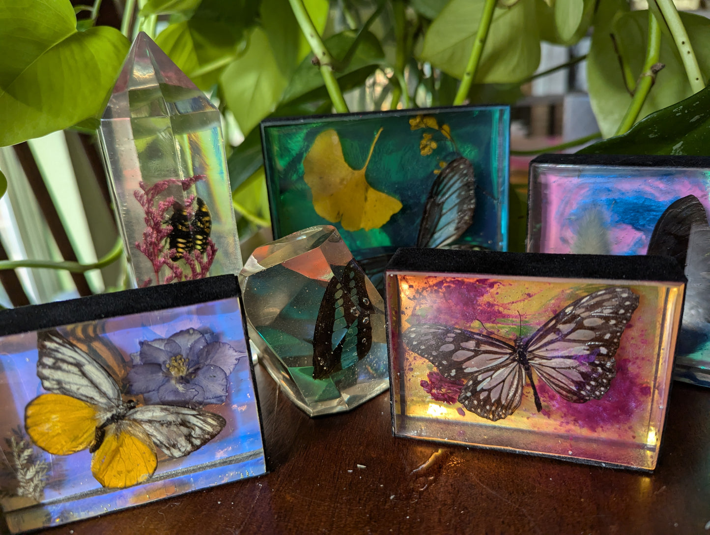 Butterfly / Insect Resin Art 3.25"x1.75"