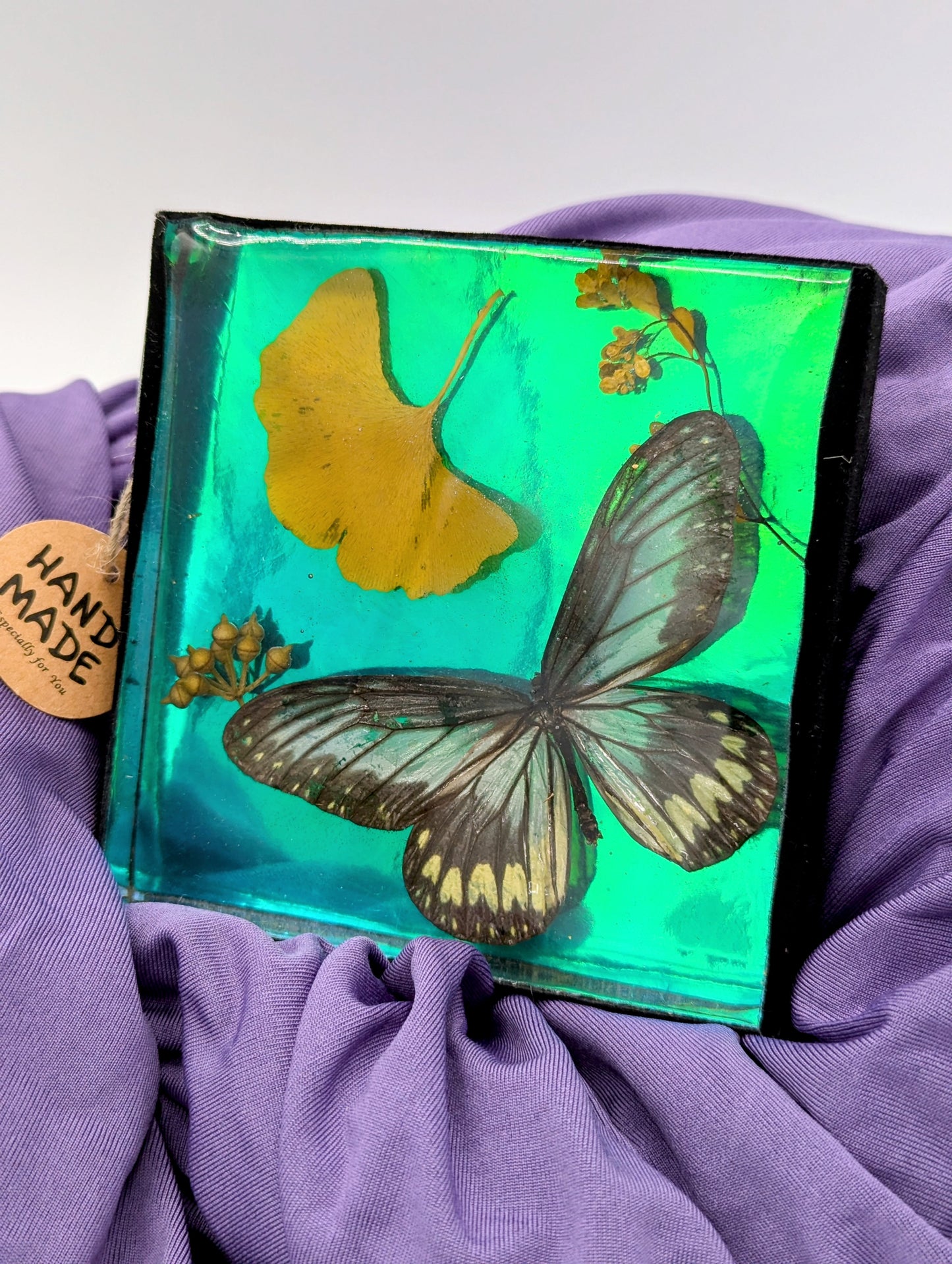 Butterfly / Insect Resin Art 4"x4"