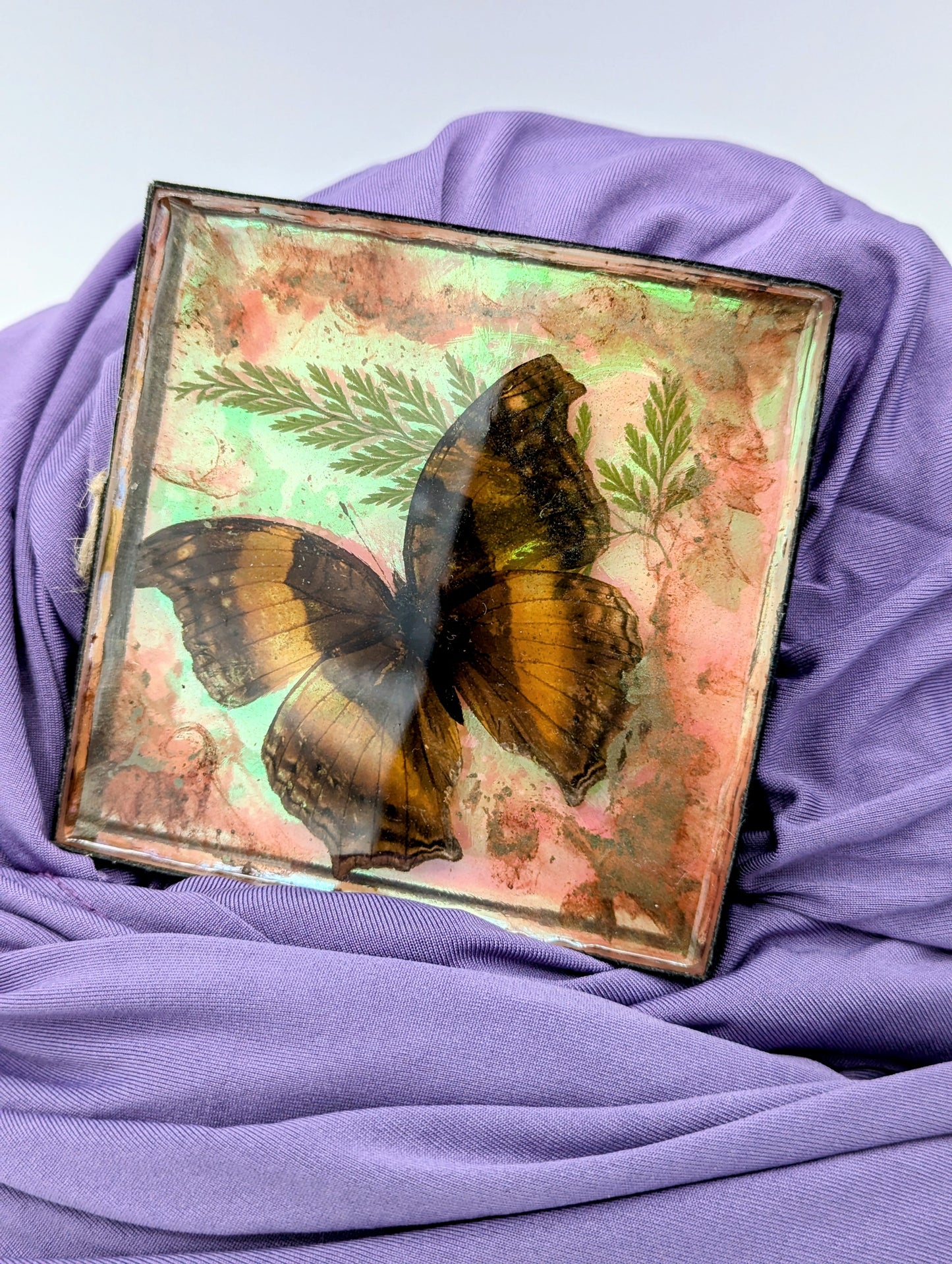 Butterfly / Insect Resin Art 4"x4"