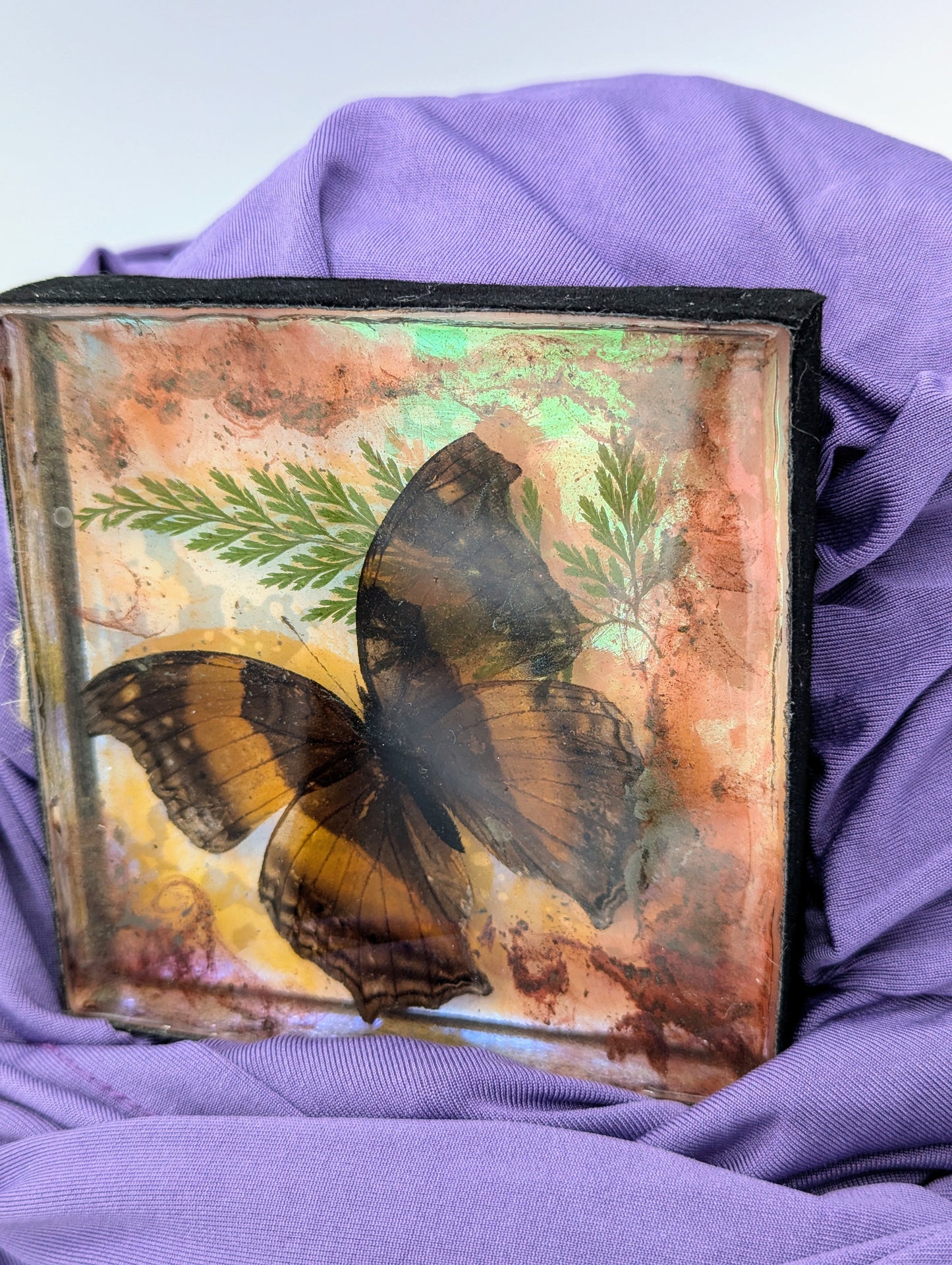 Butterfly / Insect Resin Art 4"x4"