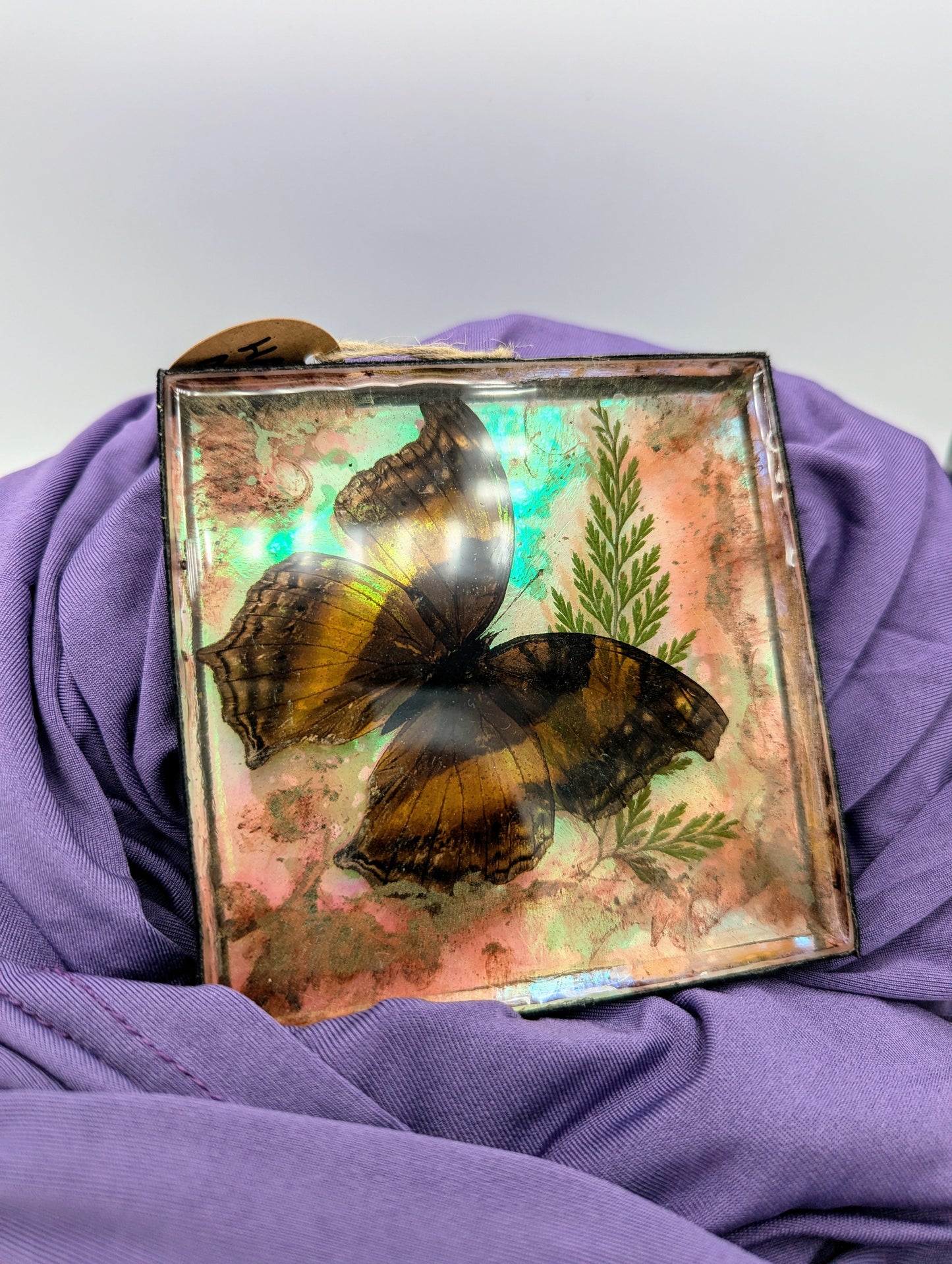 Butterfly / Insect Resin Art 4"x4"