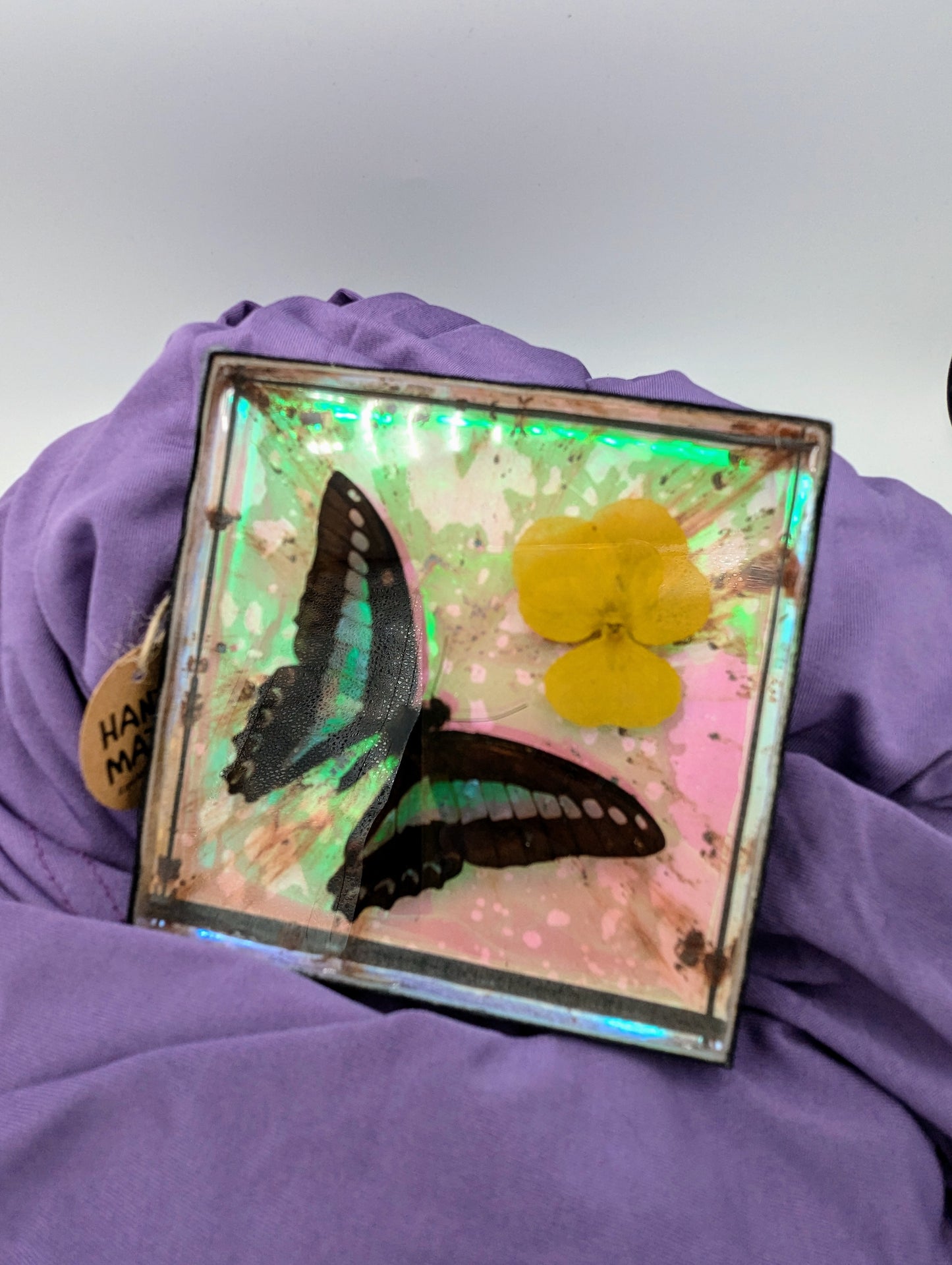 Butterfly / Insect Resin Art 4"x4"