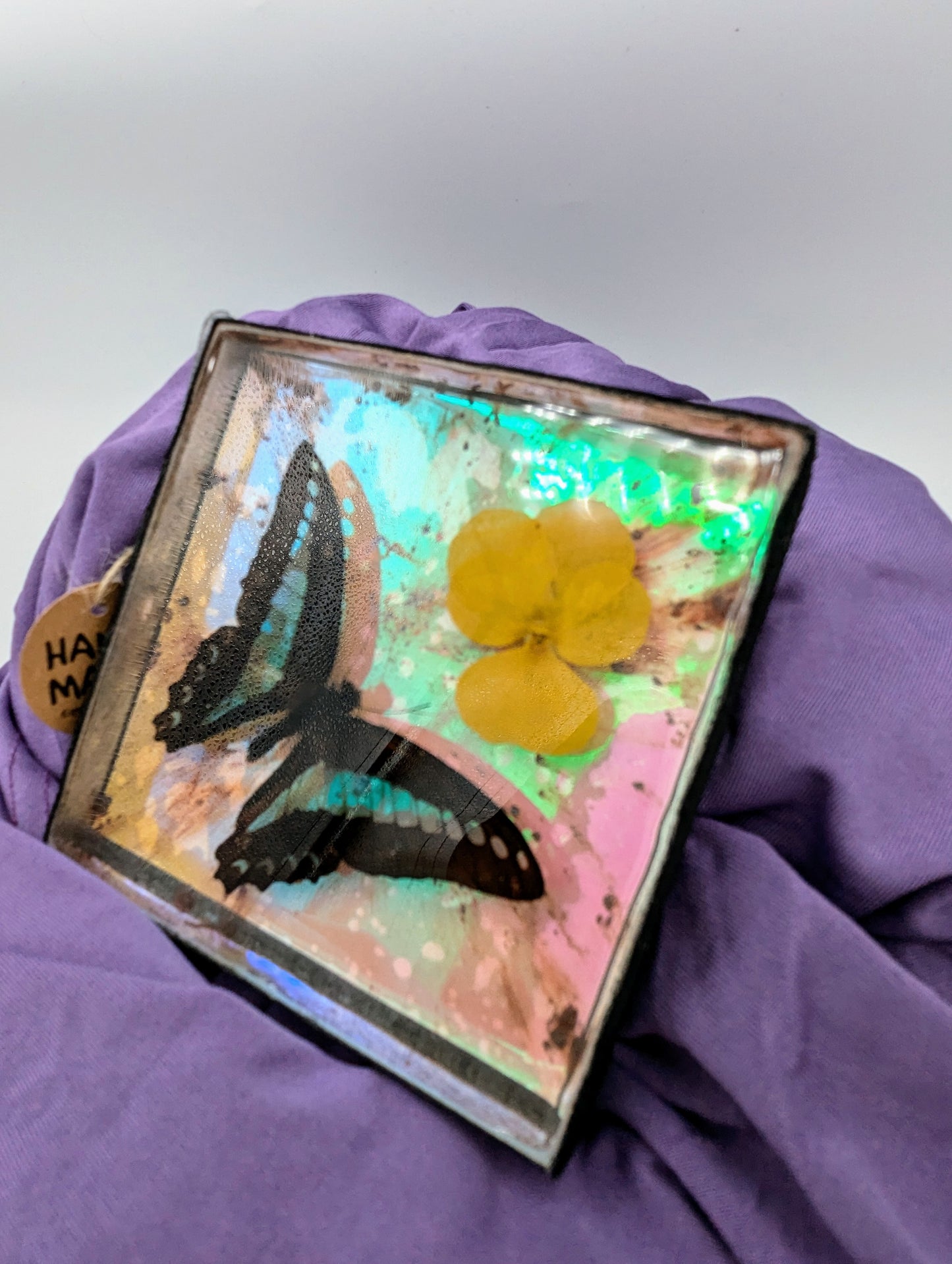 Butterfly / Insect Resin Art 4"x4"