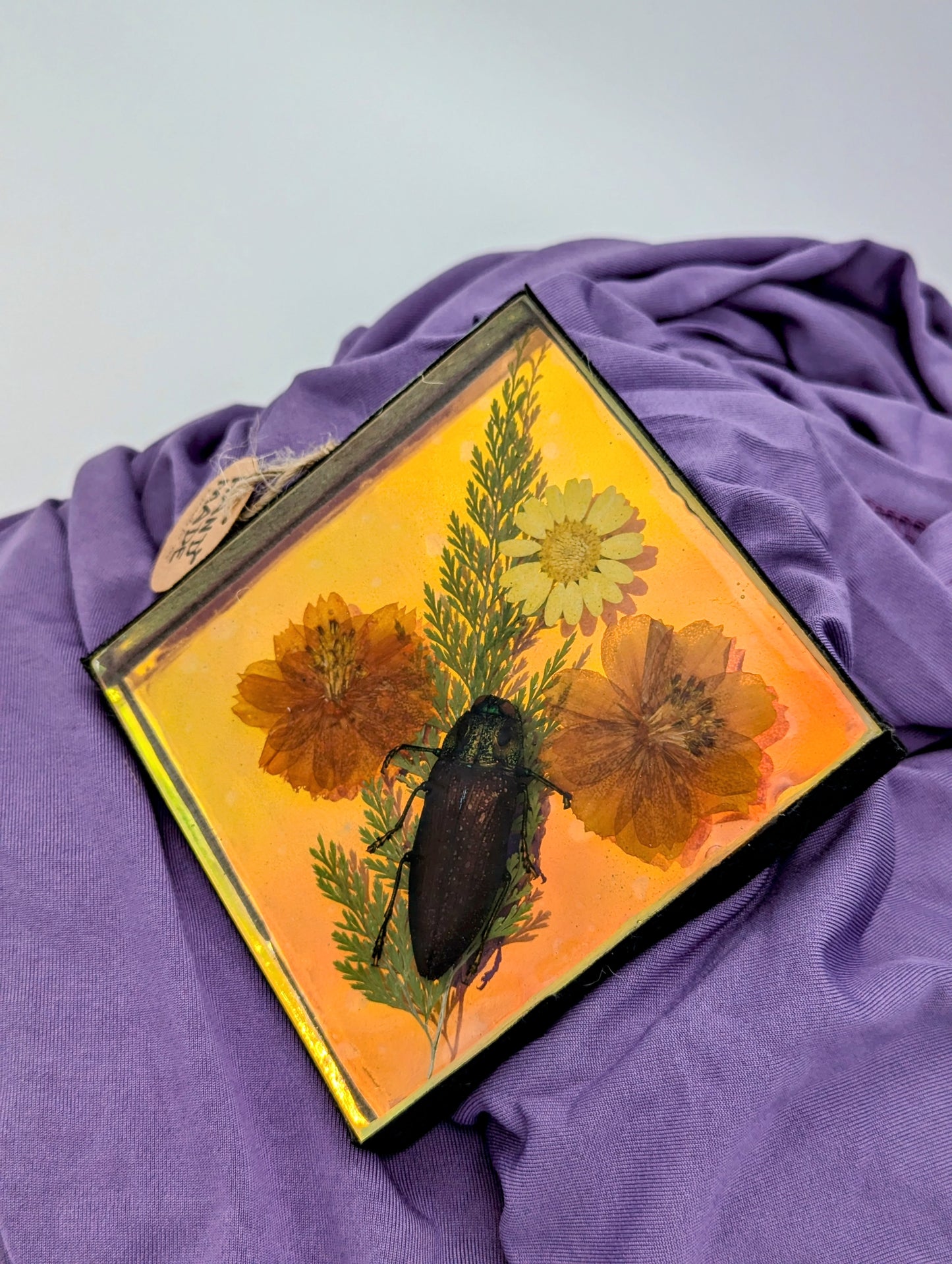 Butterfly / Insect Resin Art 4"x4"