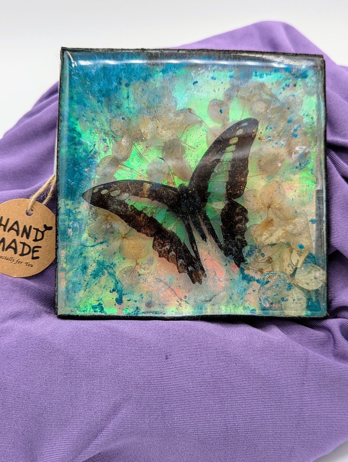 Butterfly / Insect Resin Art 4"x4"