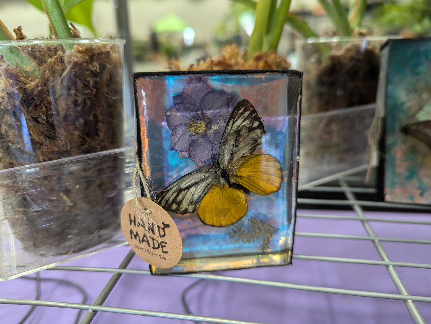 Butterfly / Insect Resin Art 3.25"x2.5"