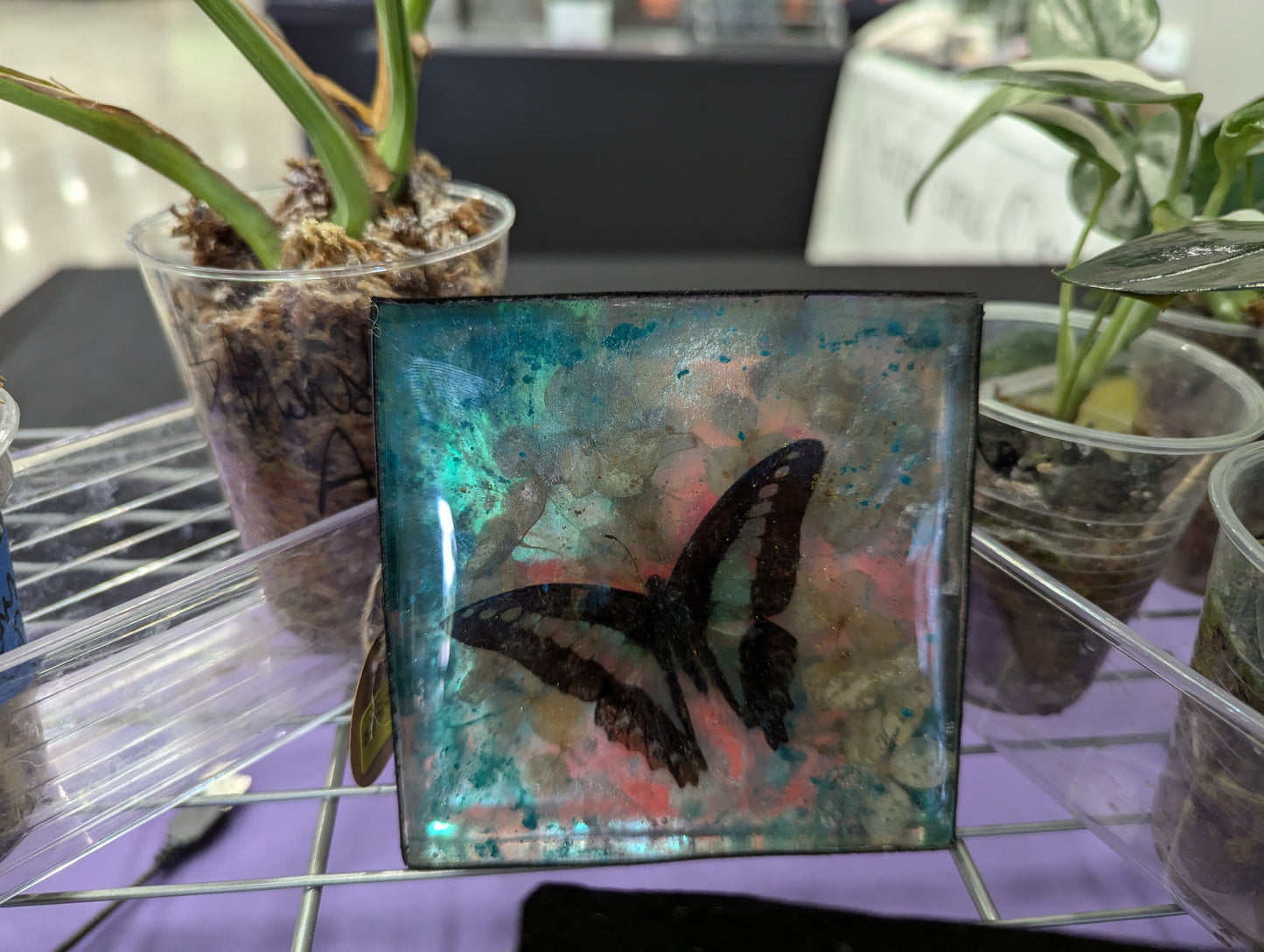 Butterfly / Insect Resin Art 4"x4"