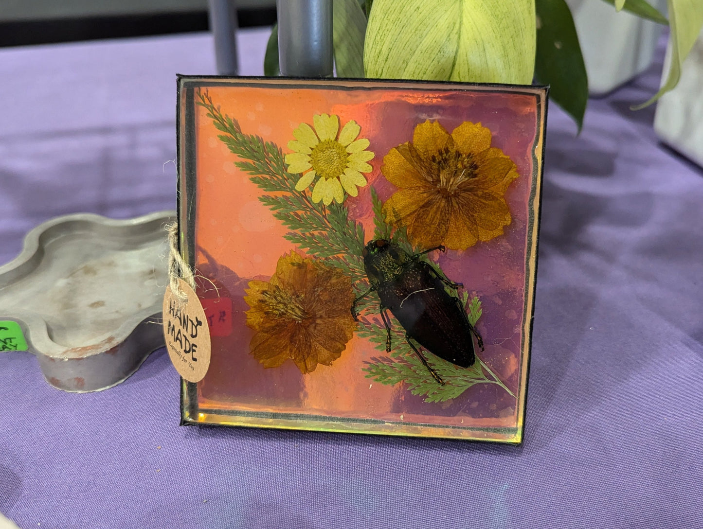 Butterfly / Insect Resin Art 4"x4"