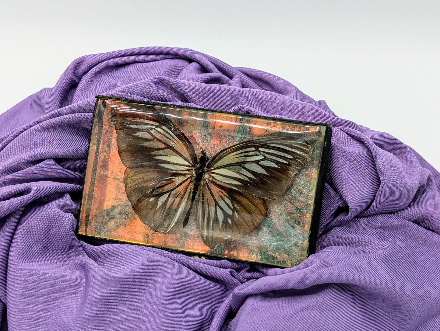 Butterfly / Insect Resin Art 4"x2.5"