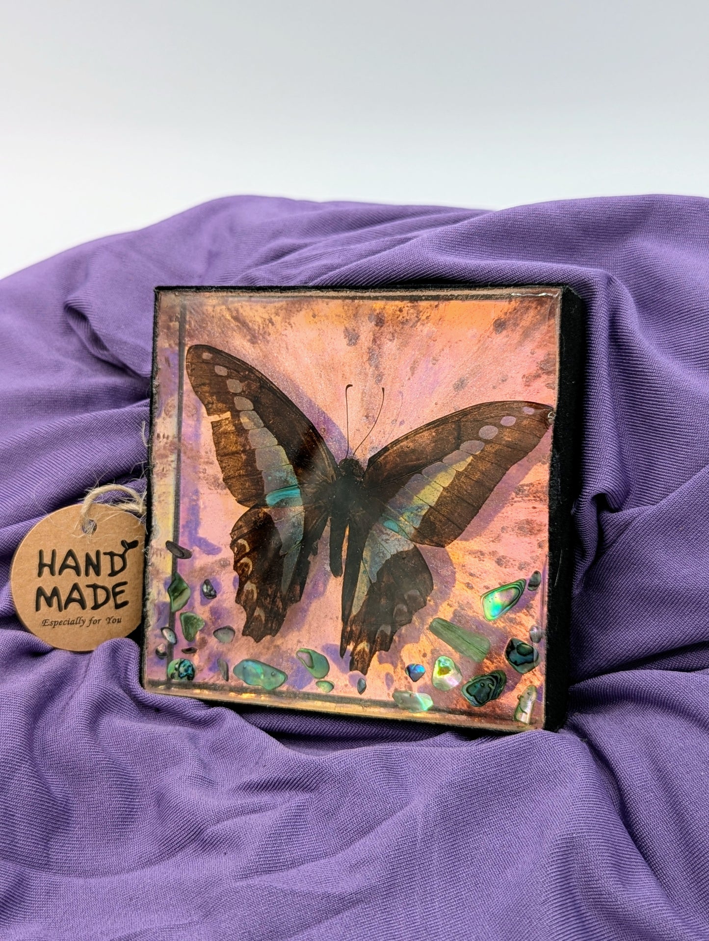 Butterfly / Insect Resin Art 3.25"x3.25"