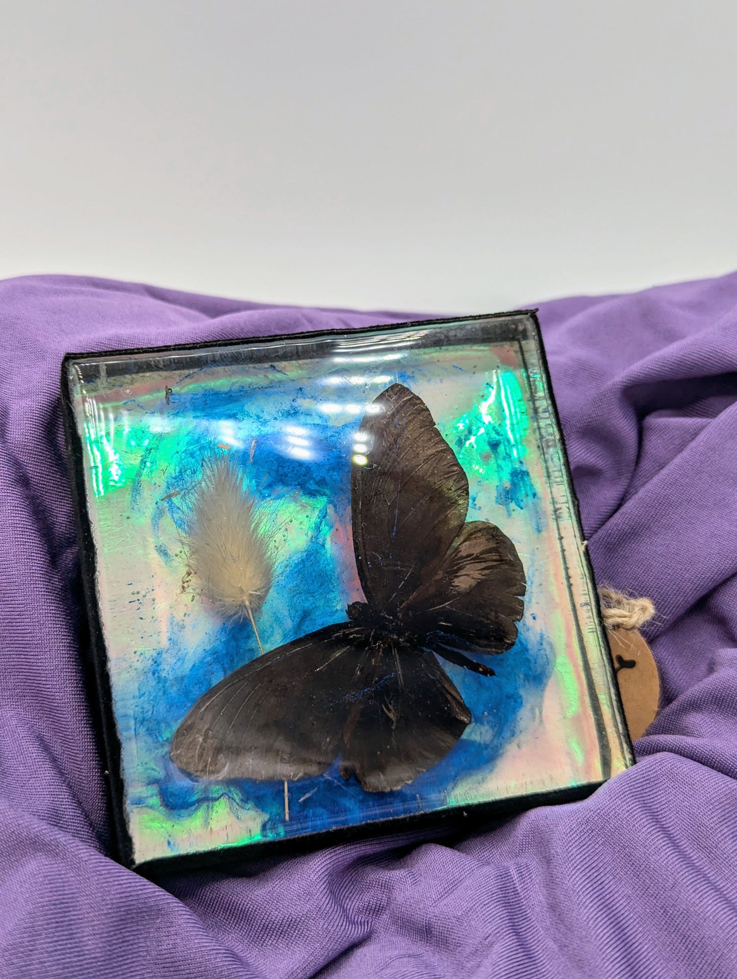 Butterfly / Insect Resin Art 3.25"x3.25"