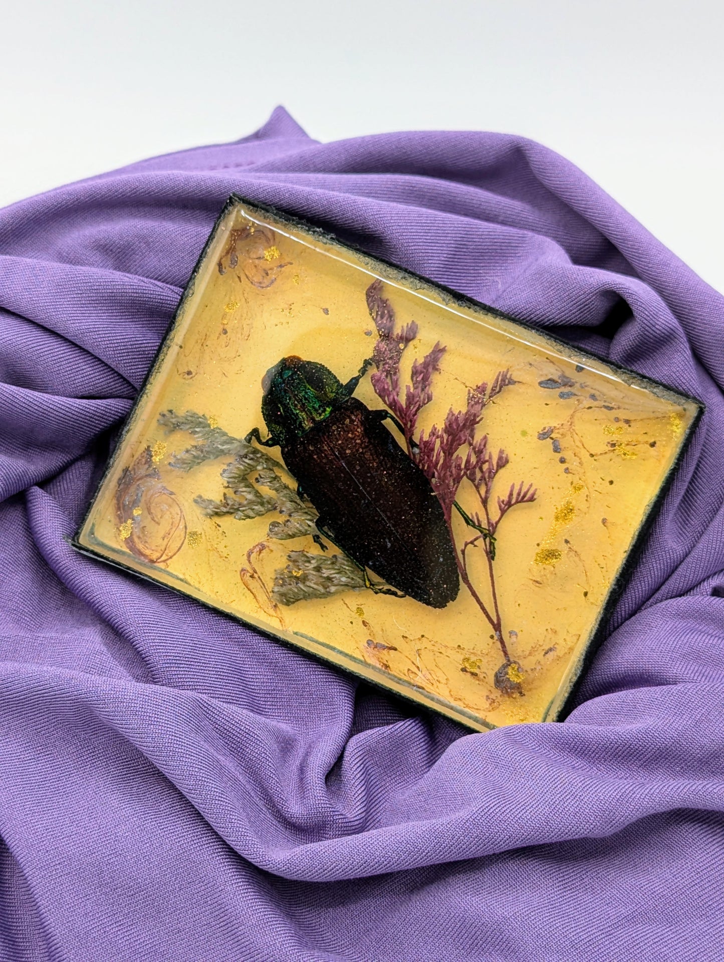 Butterfly / Insect Resin Art 3.25"x2.5"