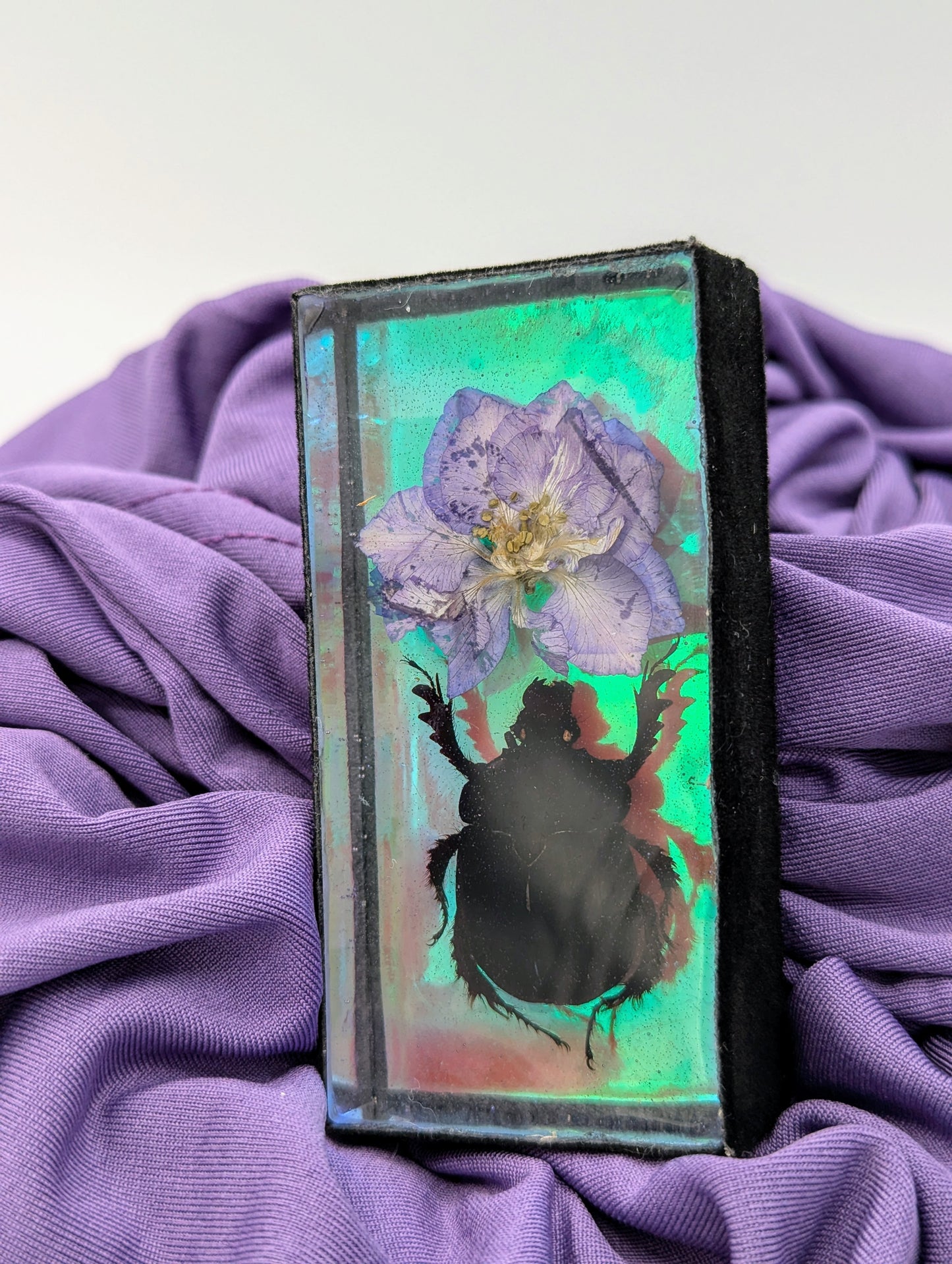 Butterfly / Insect Resin Art 3.25"x1.75"