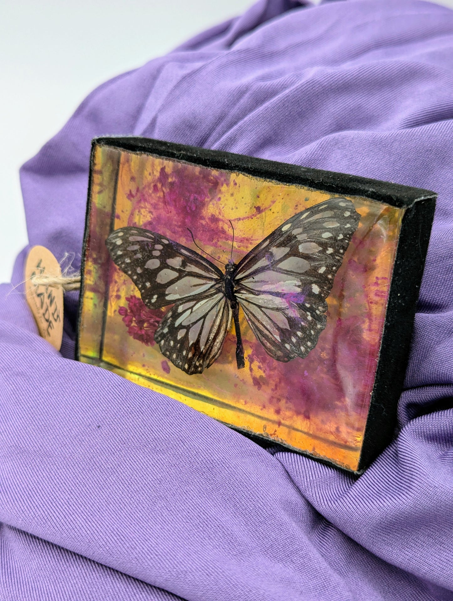 Butterfly / Insect Resin Art 3.25"x2.5"