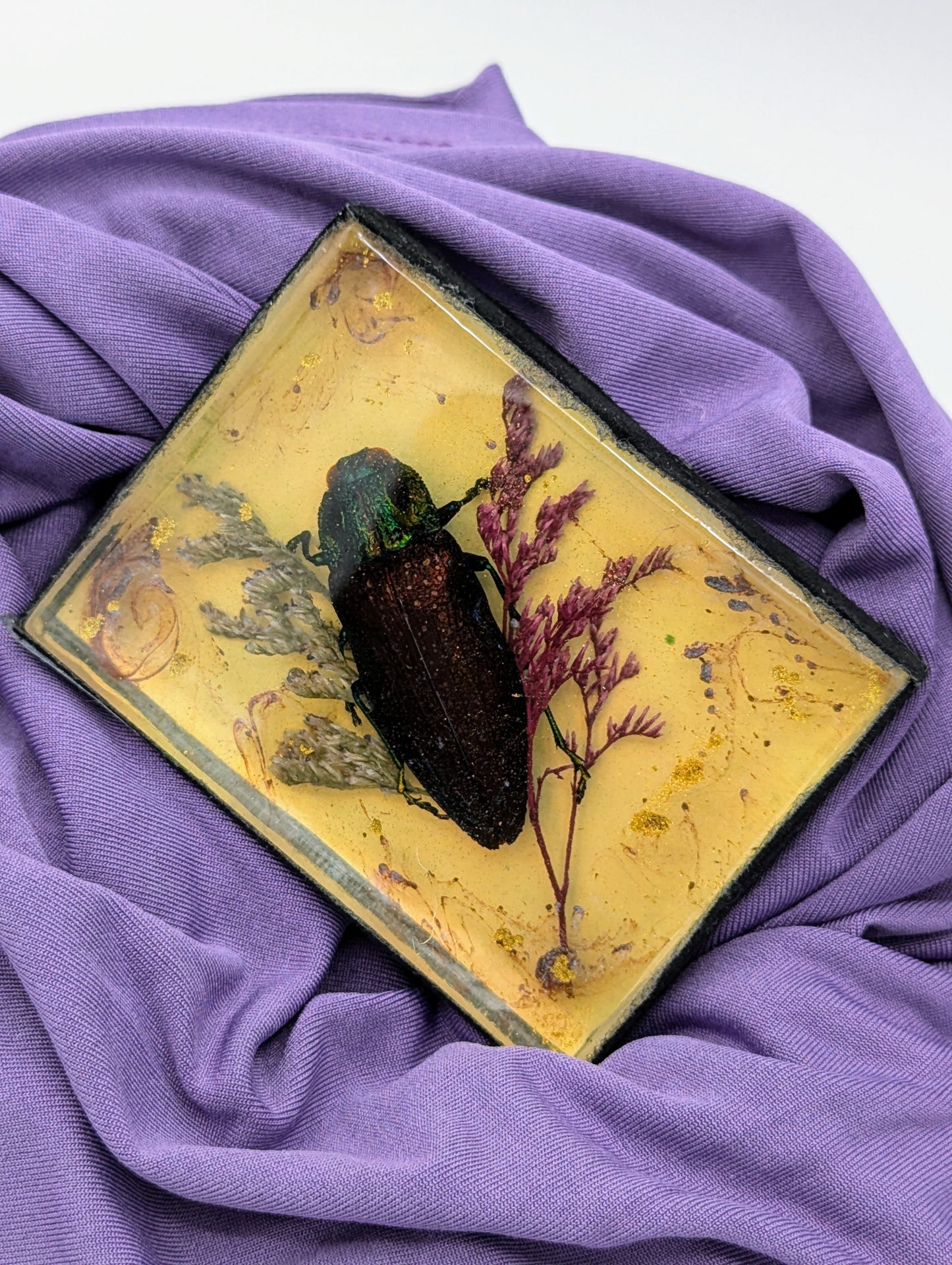 Butterfly / Insect Resin Art 3.25"x2.5"