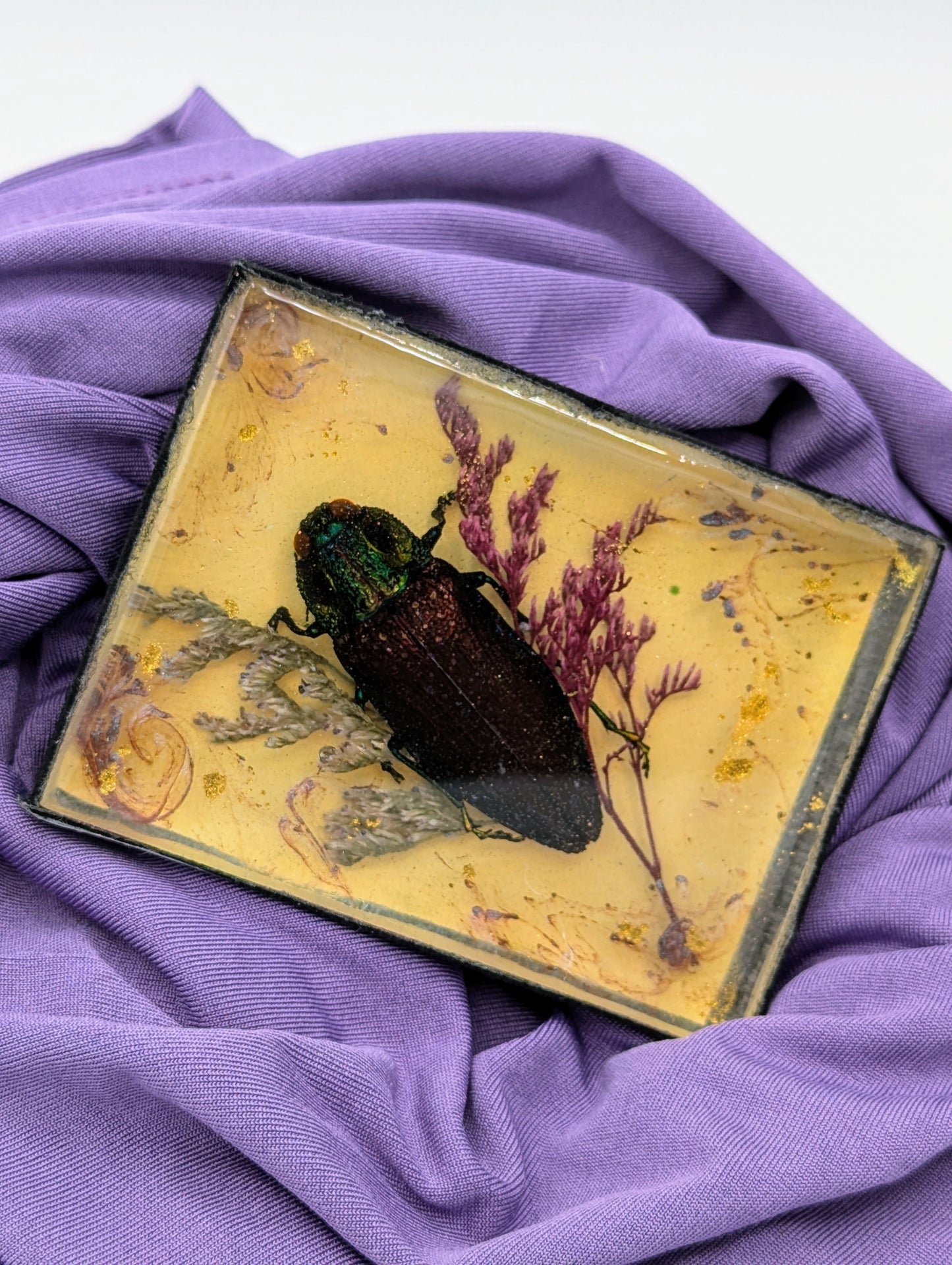 Butterfly / Insect Resin Art 3.25"x2.5"