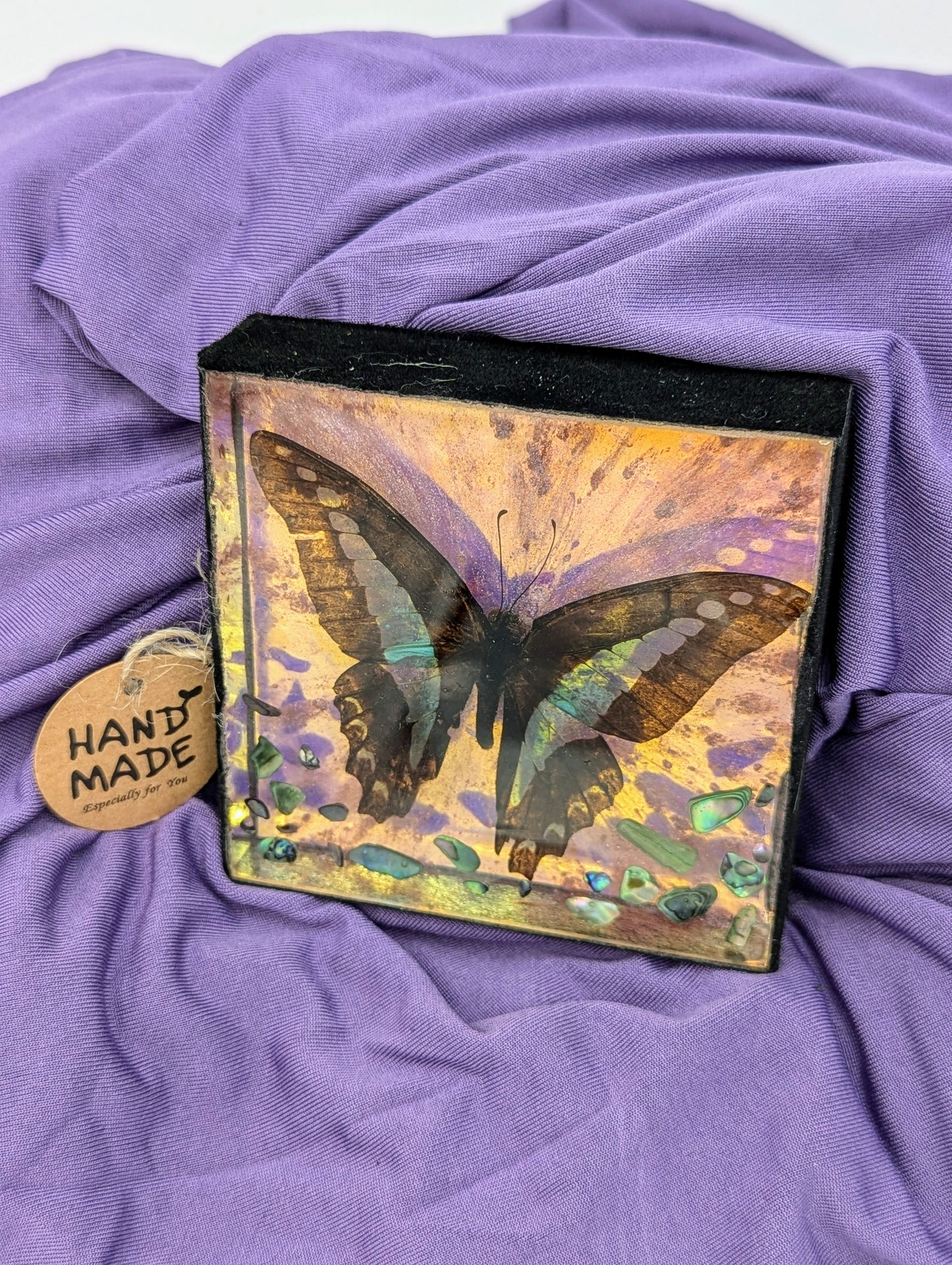 Butterfly / Insect Resin Art 3.25"x3.25"