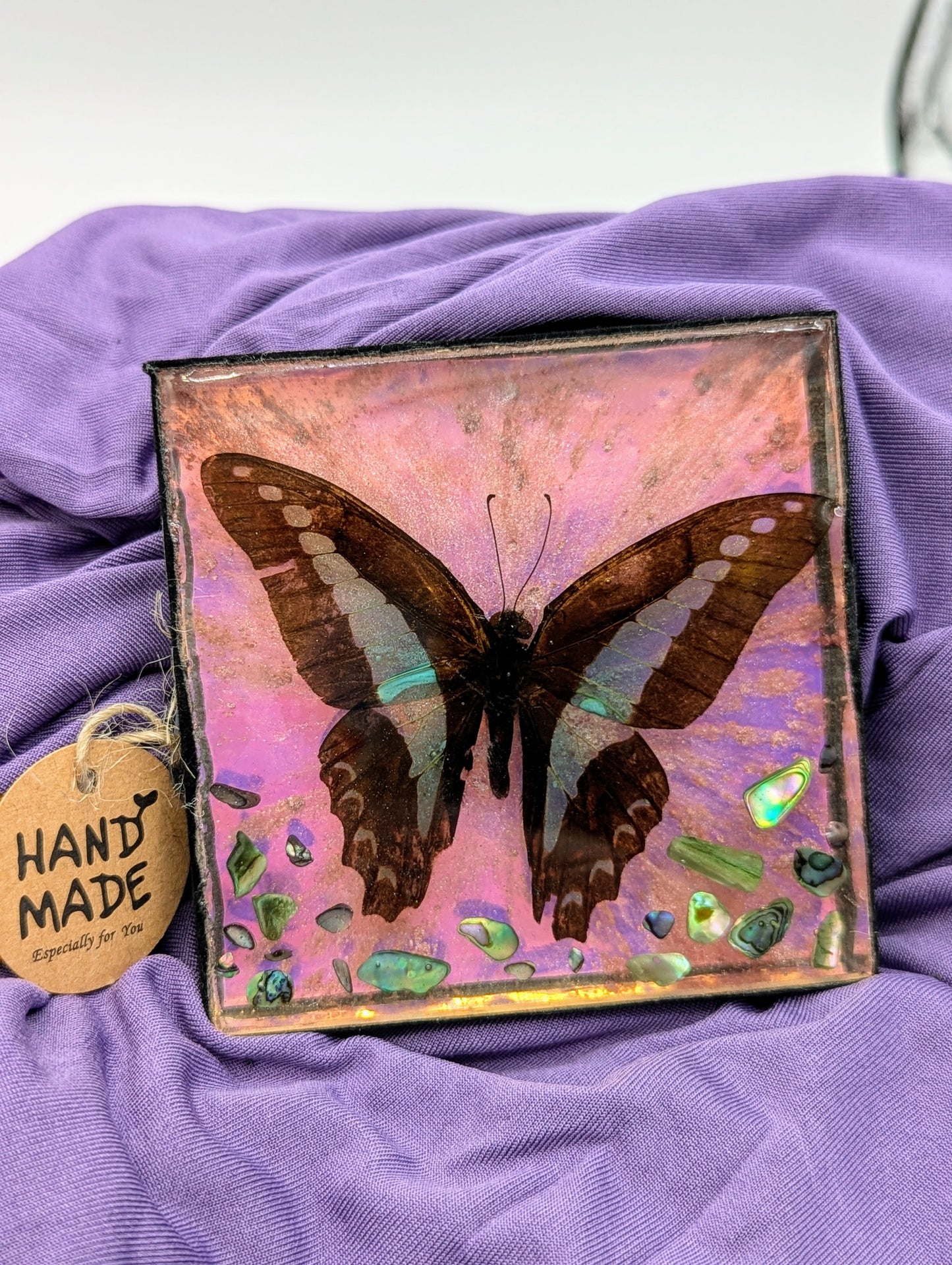 Butterfly / Insect Resin Art 3.25"x3.25"