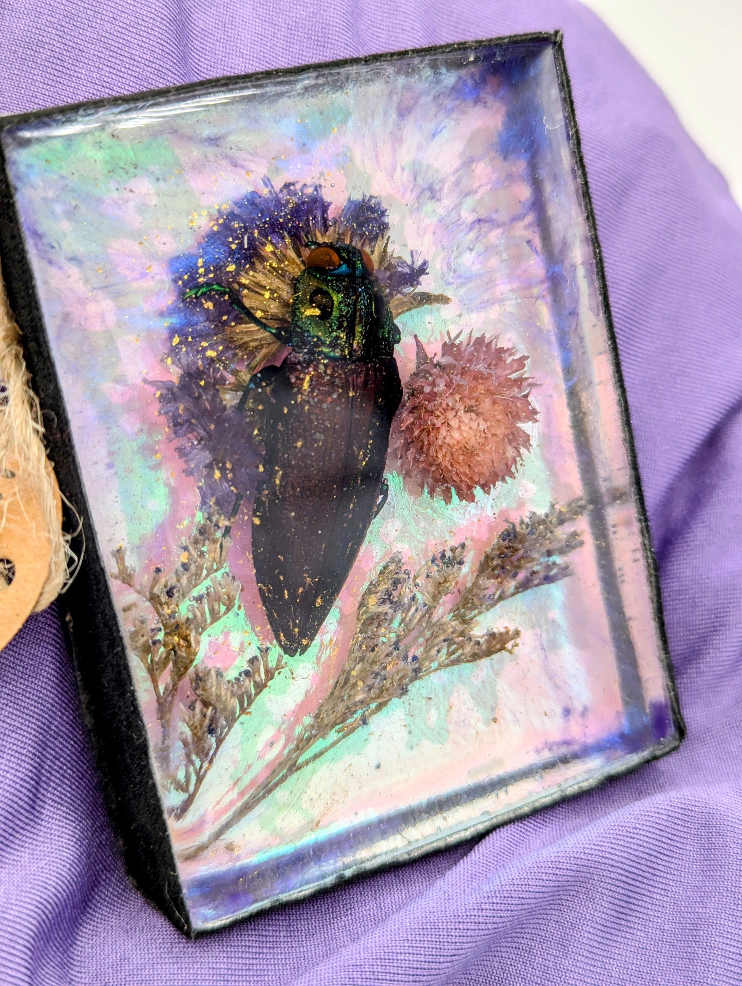 Butterfly / Insect Resin Art 3.25"x2.5"