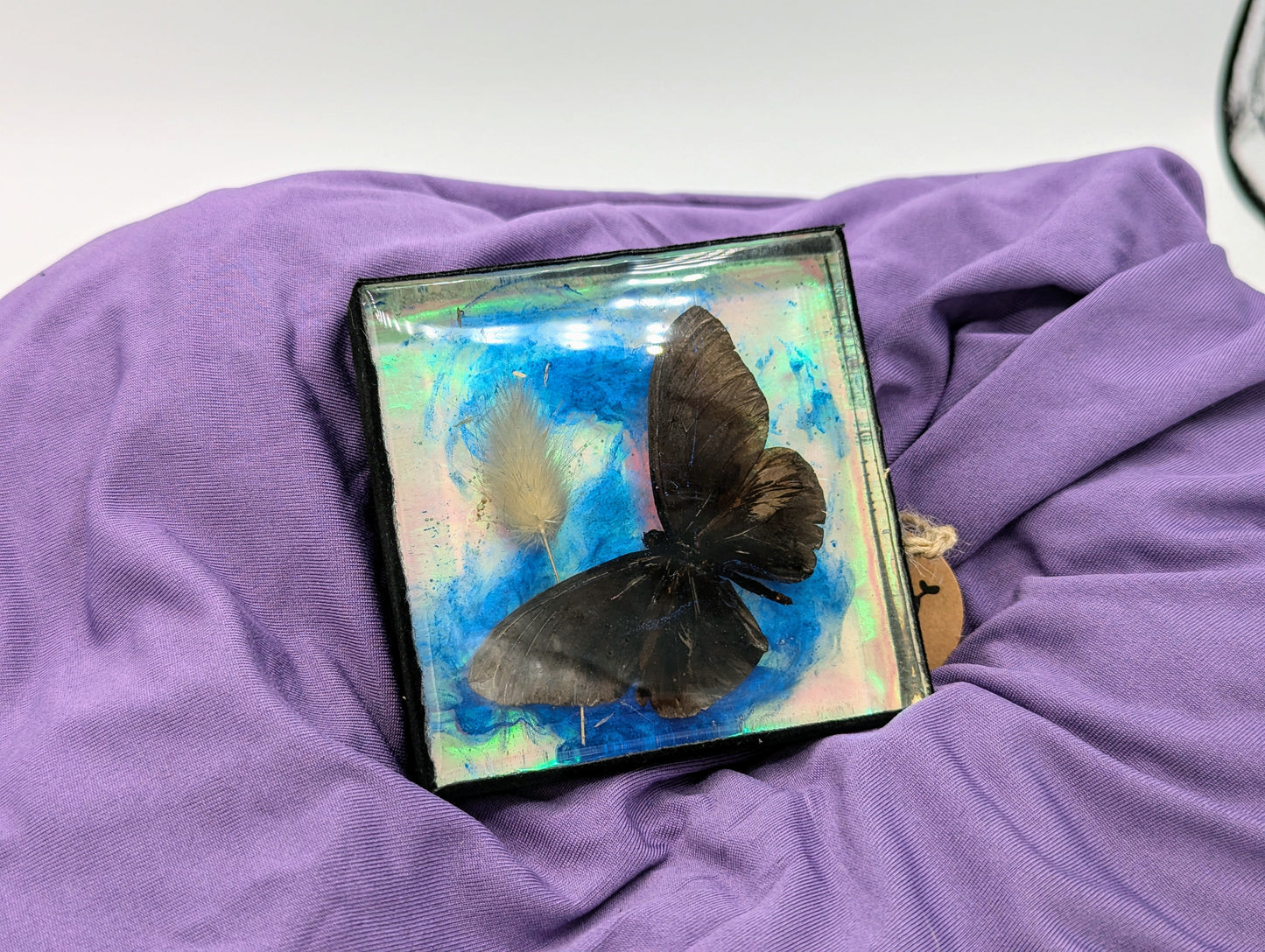 Butterfly / Insect Resin Art 3.25"x3.25"