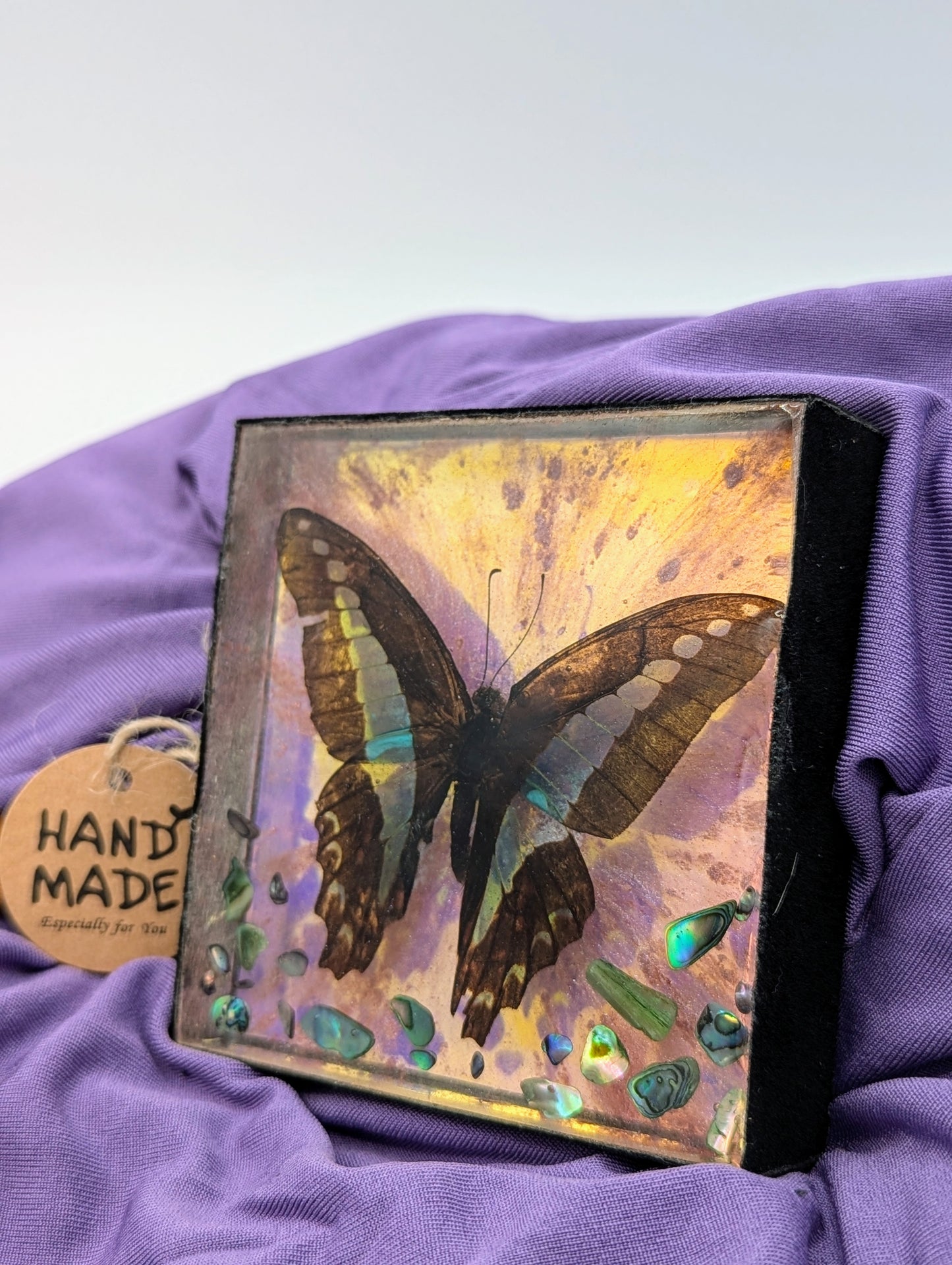 Butterfly / Insect Resin Art 3.25"x3.25"