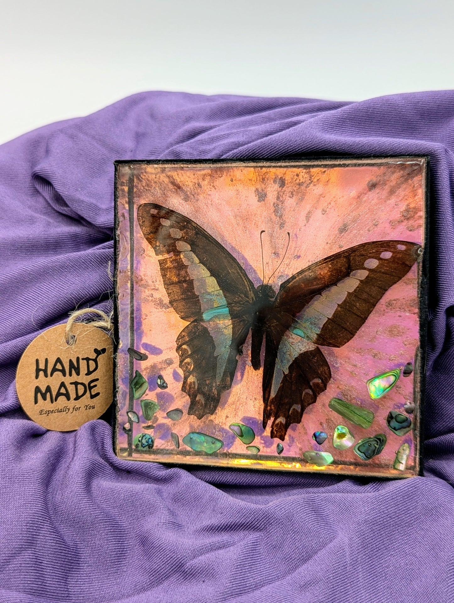 Butterfly / Insect Resin Art 3.25"x3.25"